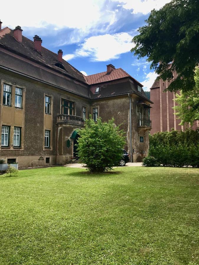 Apartment Im Gruenen Leoben  Dış mekan fotoğraf
